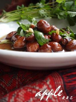 �´׻���������