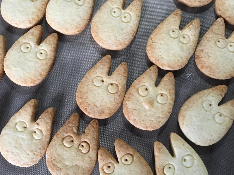 ��������ɵ�����