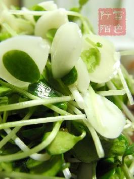 ��䴻����ӵ�����