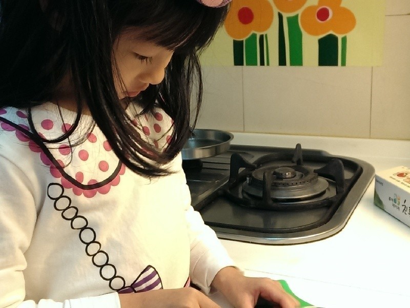 ��ݮ��������-��ݮ�Ͱ�ӥ�����̵�����