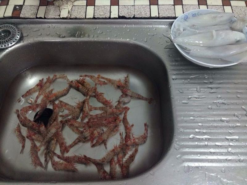 ������Ͳ������