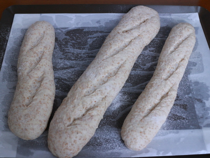 ����ȫ��������bʢ������������