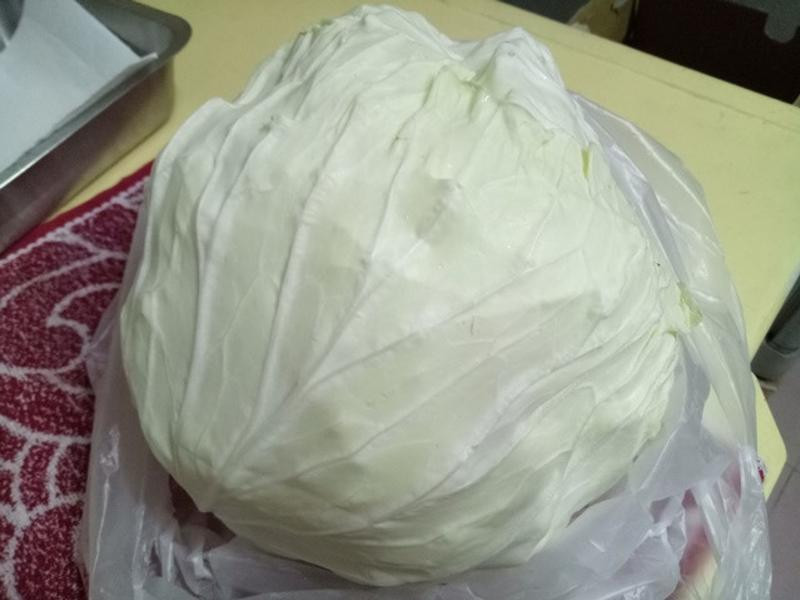 �Ǵ׸����˵�����