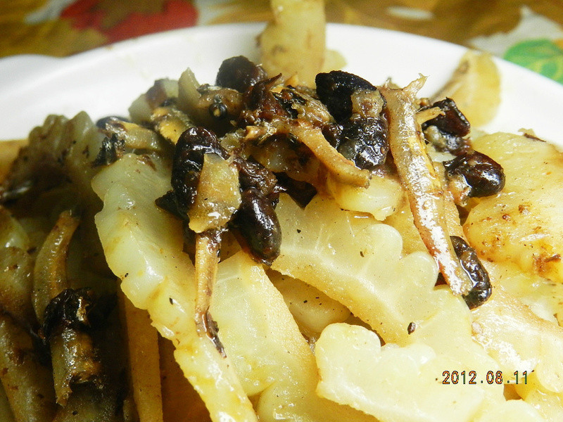 ������ɳ���ϵ�����