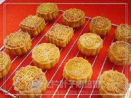 ��ʽ�����±�������