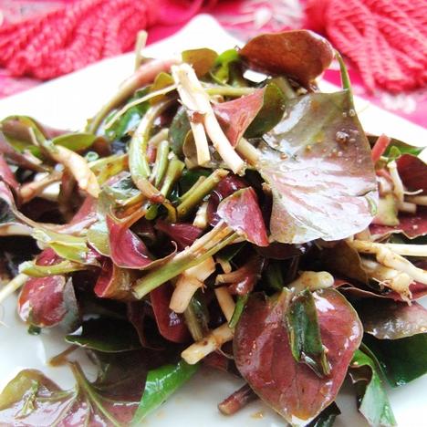 ����Ұ�����Ȳݵ�����