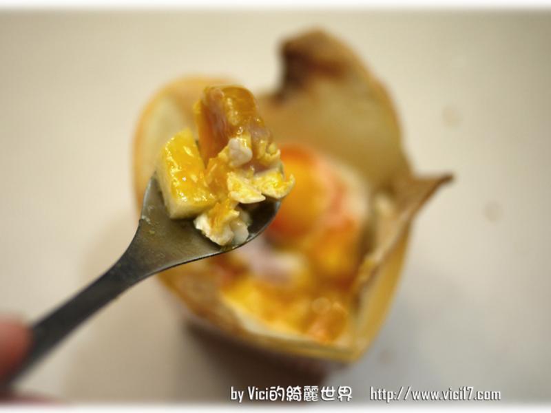 ƻ�㿾������������VICI�����˳�����������