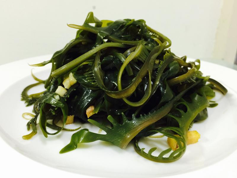 �������躣��������