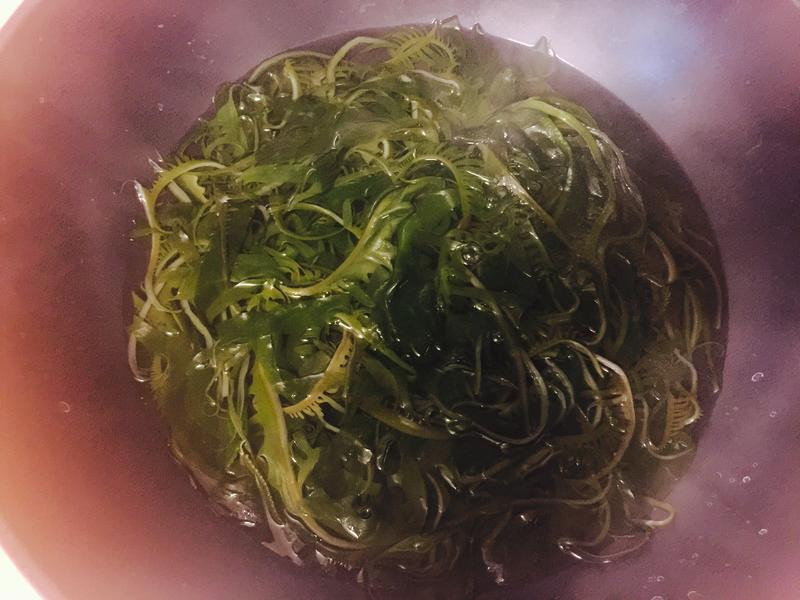 �������躣��������