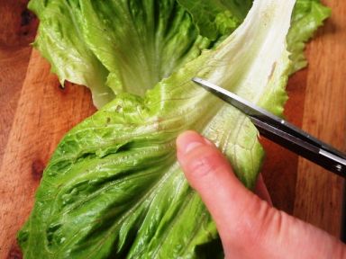 ���������˰�������