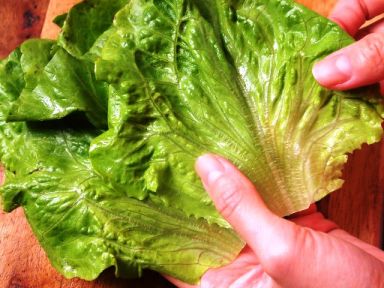 ���������˰�������