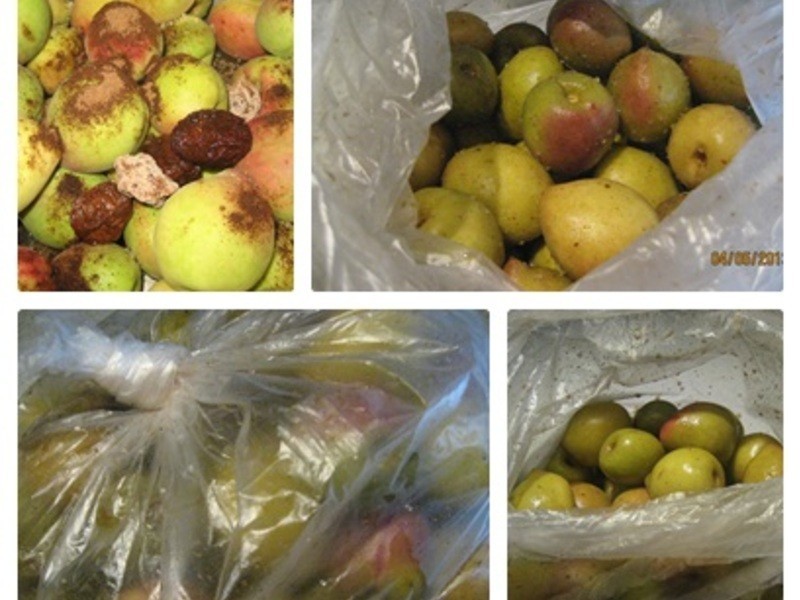 �Z�����ӵ�����