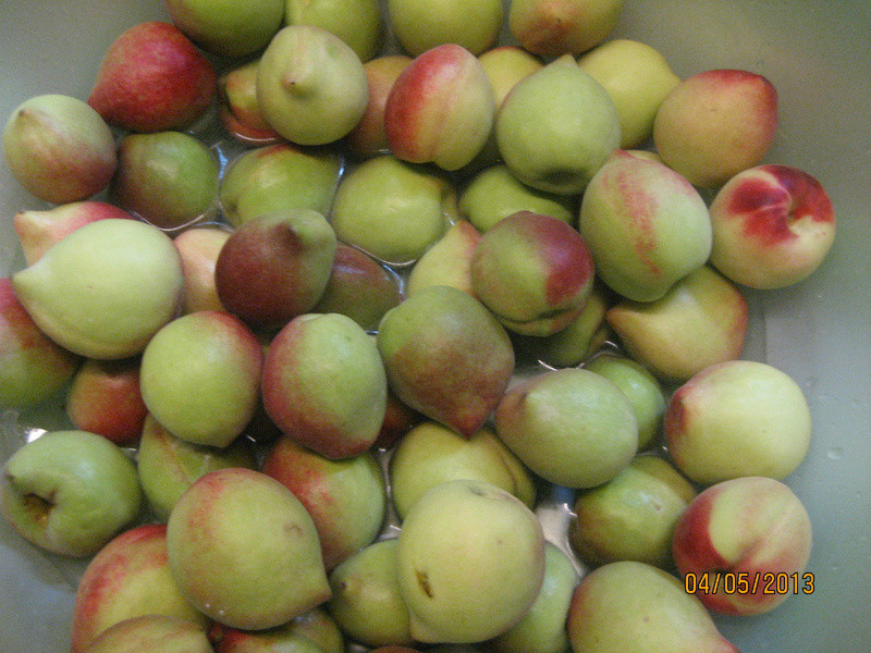 �Z�����ӵ�����