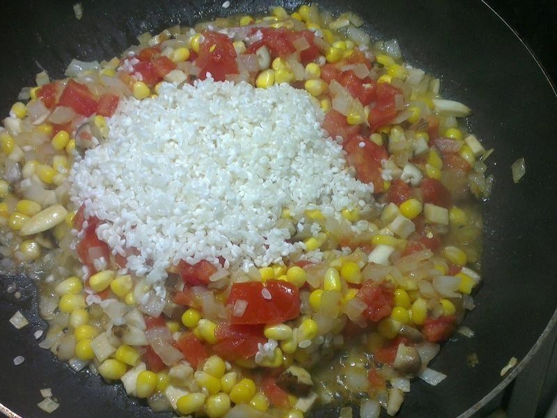 ެ�Ѻ������� - �ɹ���ެ�ѹ�����������