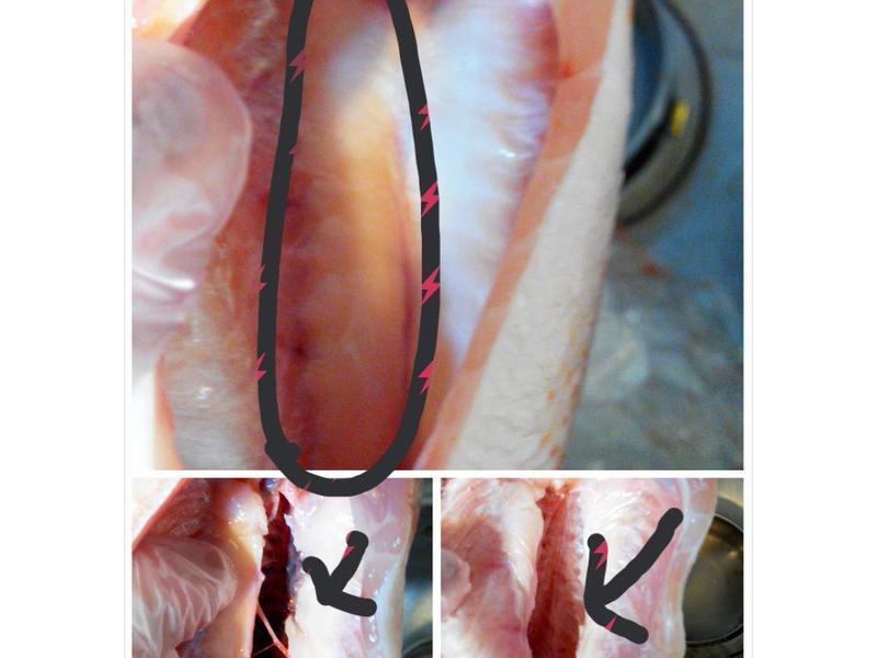 ����ζ������������