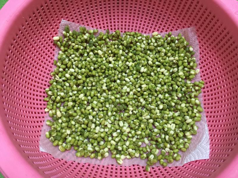 ��ֲ�л��̶�ѿ�˵�����