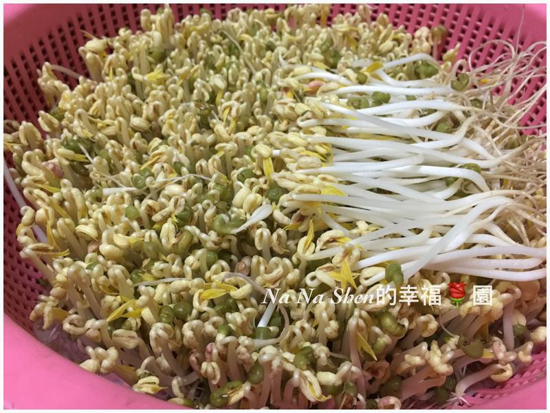 ��ֲ�л��̶�ѿ�˵�����