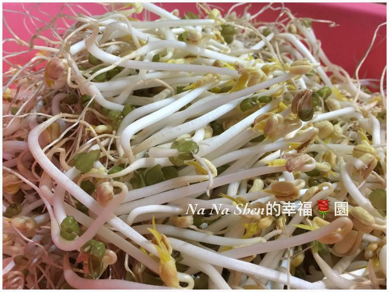 ��ֲ�л��̶�ѿ�˵�����