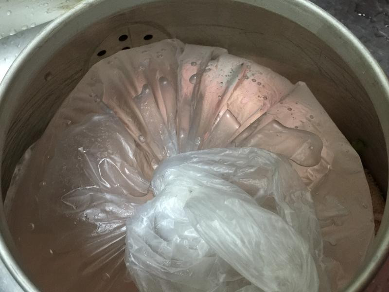 ��ֲ�л��̶�ѿ�˵�����