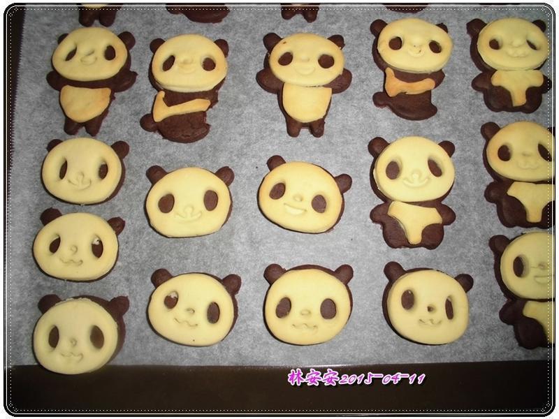 �ɰ�����è���ɵ�����