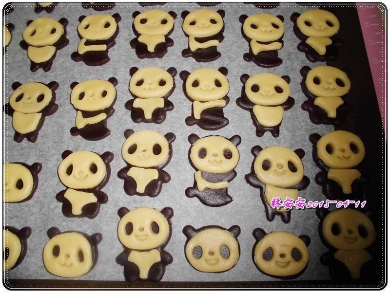 �ɰ�����è���ɵ�����