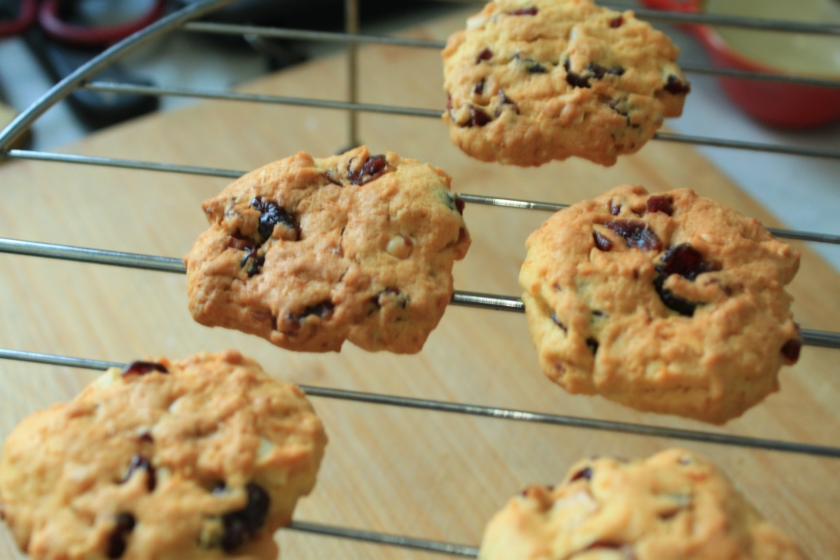 橙香蔓越莓饼干的做法