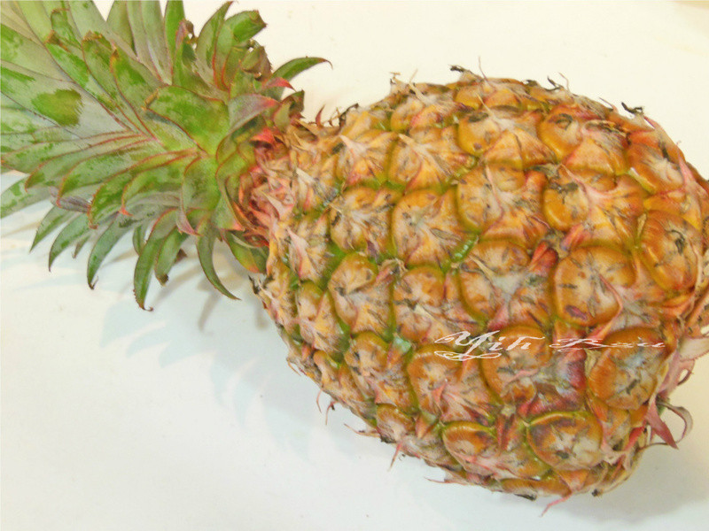 ?������ʳ?������������~����ʳ������