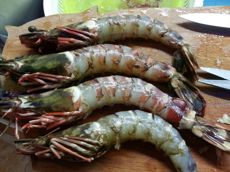 ���ƽ�����Ϻ������