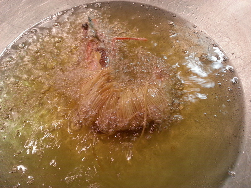 ���ƽ�����Ϻ������