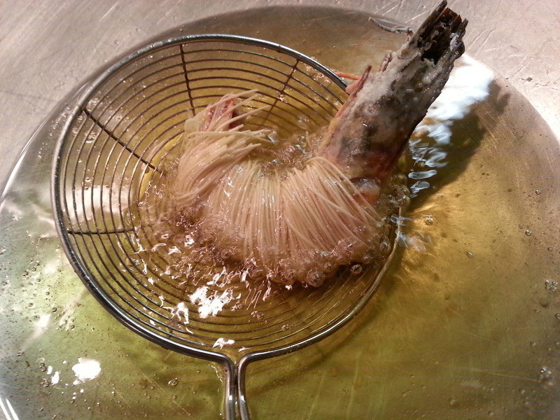 ���ƽ�����Ϻ������