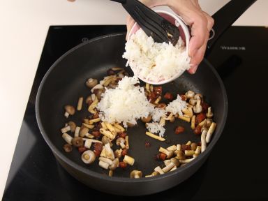 XO����������������