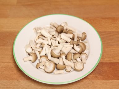 XO����������������