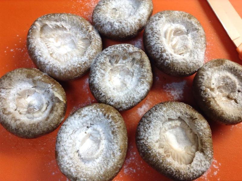 �㹽�����������ձ������У�������