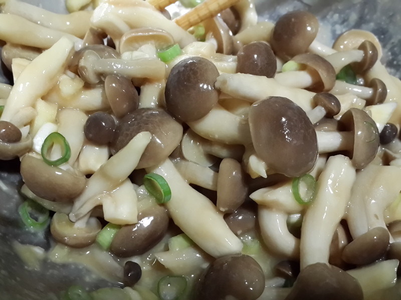 ��ʽ��������~����ʥƷ������