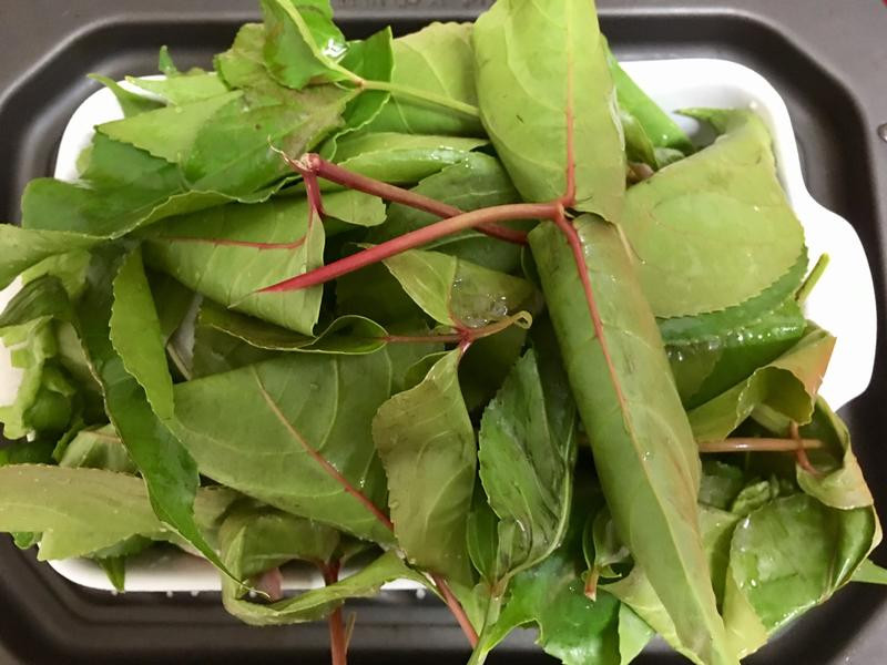 ���������ͷ���{��������