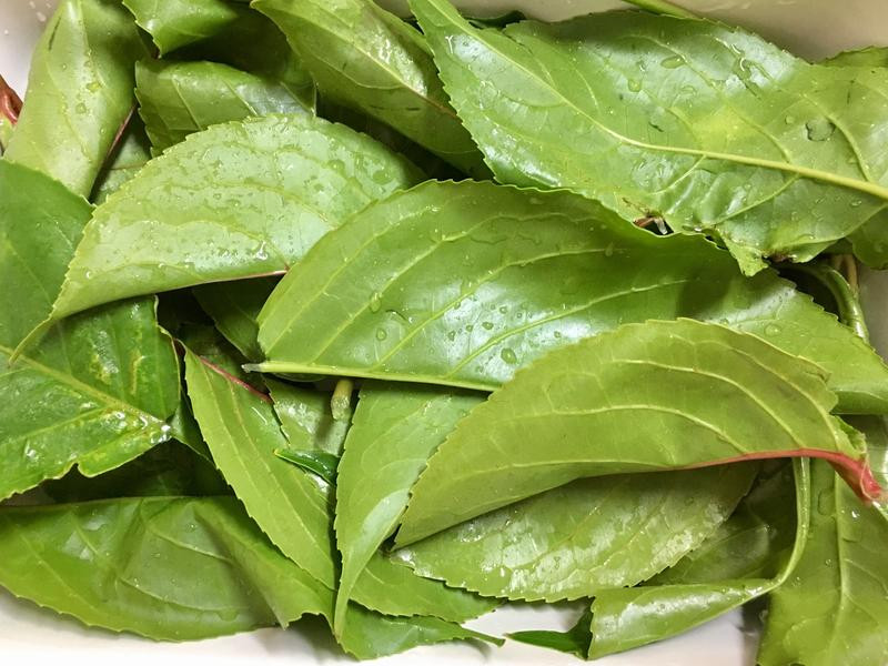 ���������ͷ���{��������