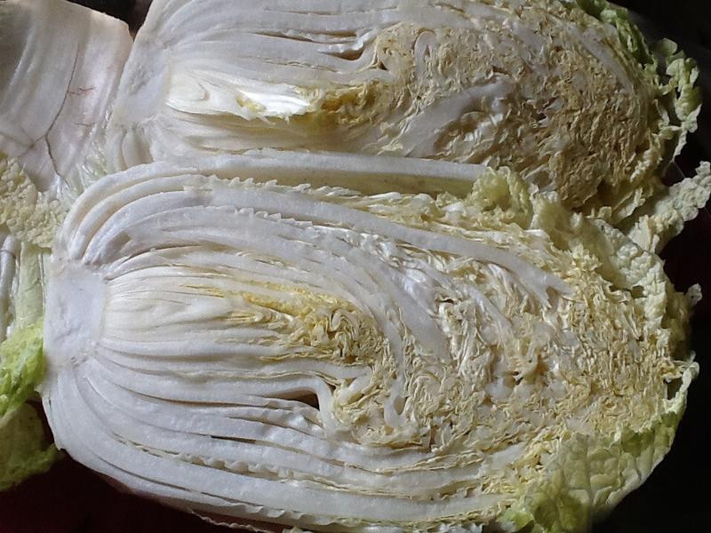 ������ײ˵�����