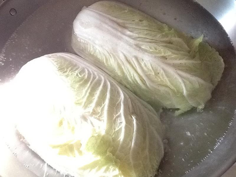 ������ײ˵�����