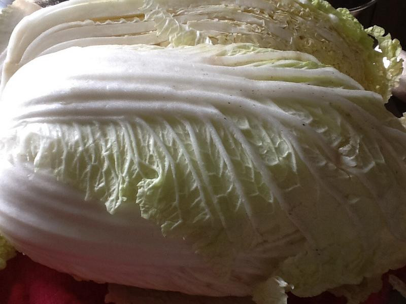 ������ײ˵�����