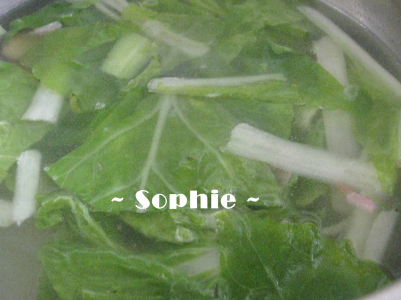 ţ�����������