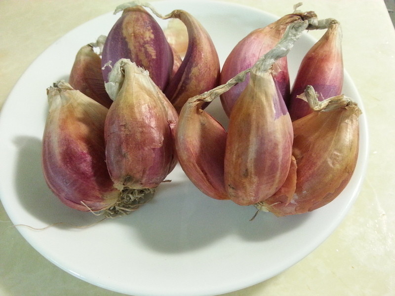 ����ζ���ⷹ������