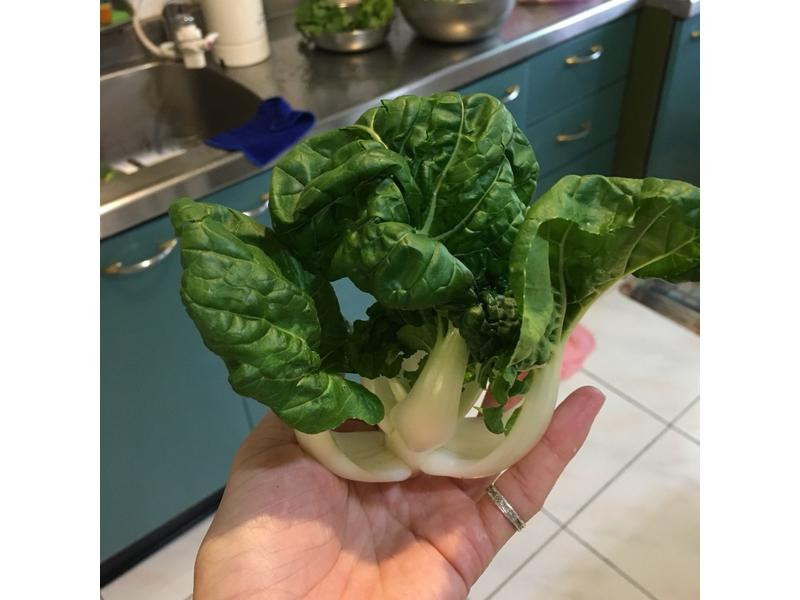 �ʺ�ʱ�߳����ʵ�����