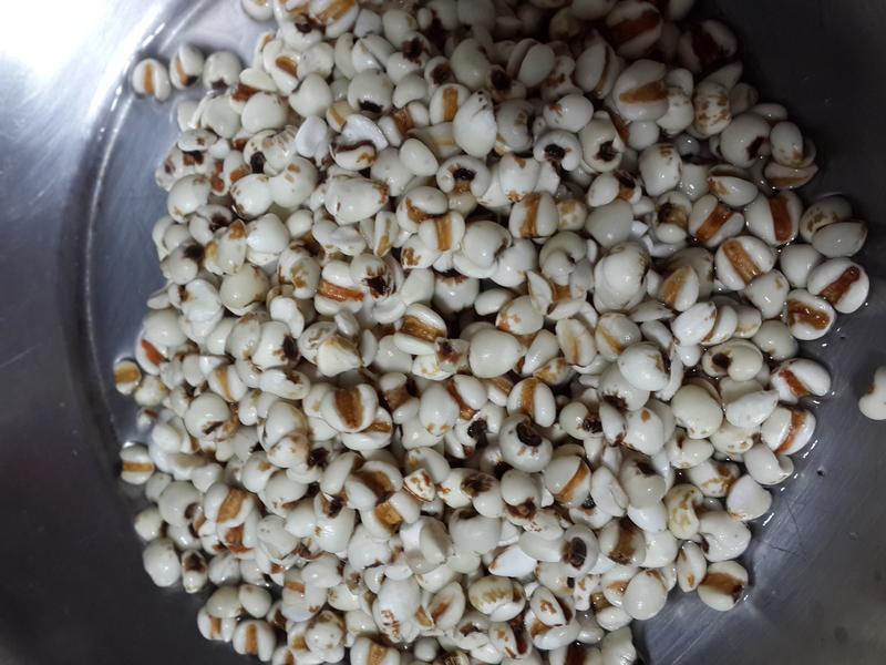 ����޲���Ź���������