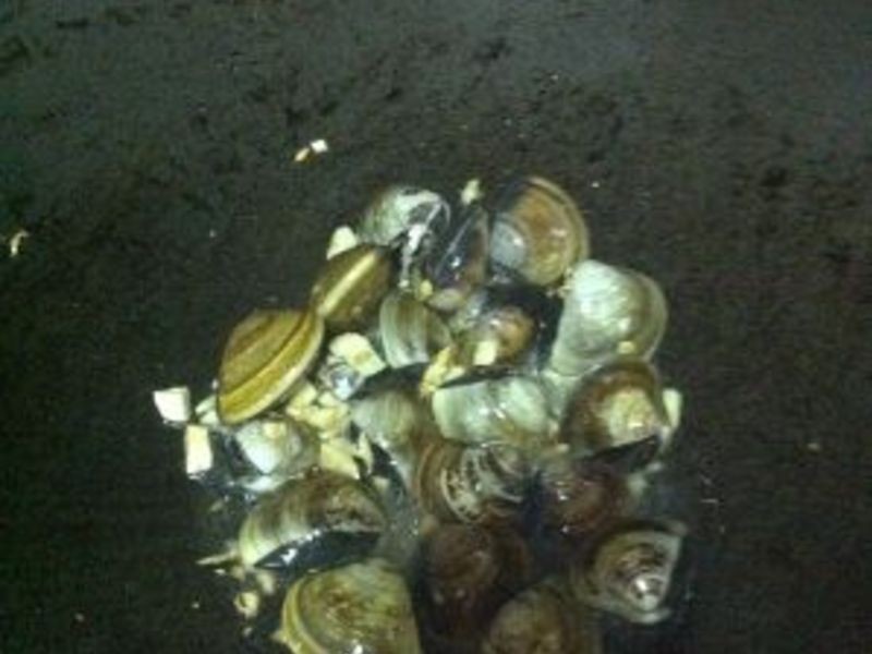 �������������ζ-���ո��۵�����