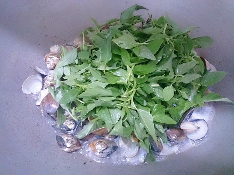 ���㳴���۵�����