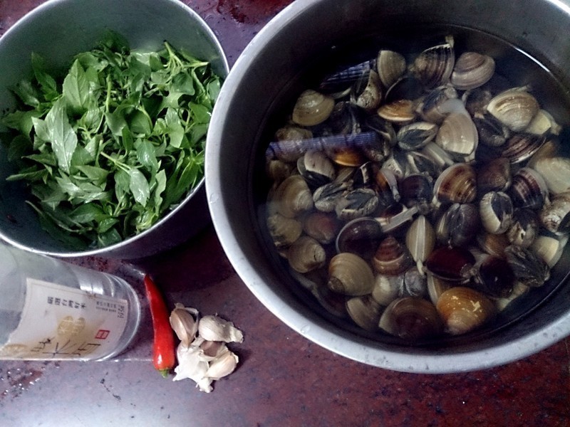 ���㳴���۵�����