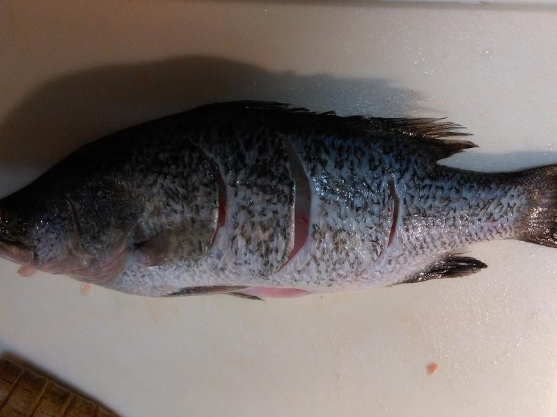 �帣��������֦������