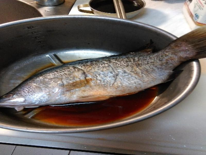 �帣��������֦������