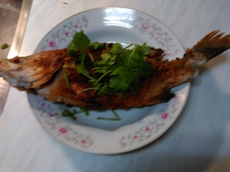 �帣��������֦������