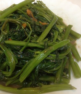 ��˿Ϻ��ͨ�˵�����